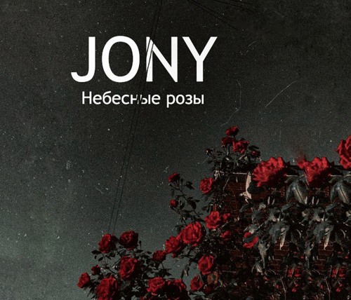 Jony - Небесные Розы скачать и слушать онлайн
