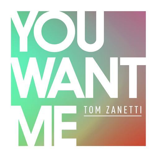 Tom Zanetti, Sadie Ama - You Want Me (2016) скачать и слушать онлайн