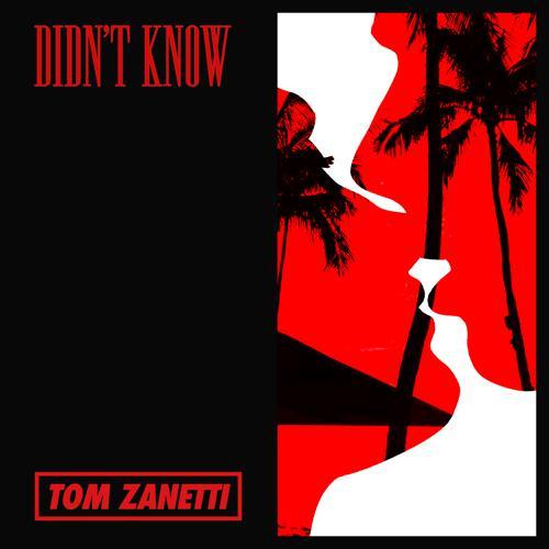 Tom Zanetti - Didn't Know (2021) скачать и слушать онлайн