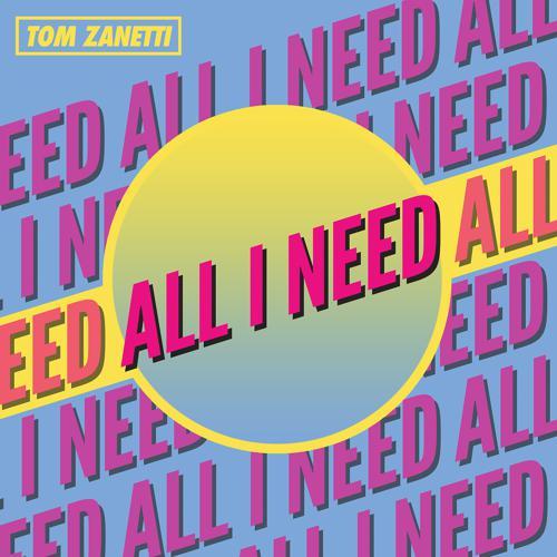 Tom Zanetti - All I Need (2019) скачать и слушать онлайн