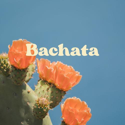 Conciso - Bachata (2023) скачать и слушать онлайн