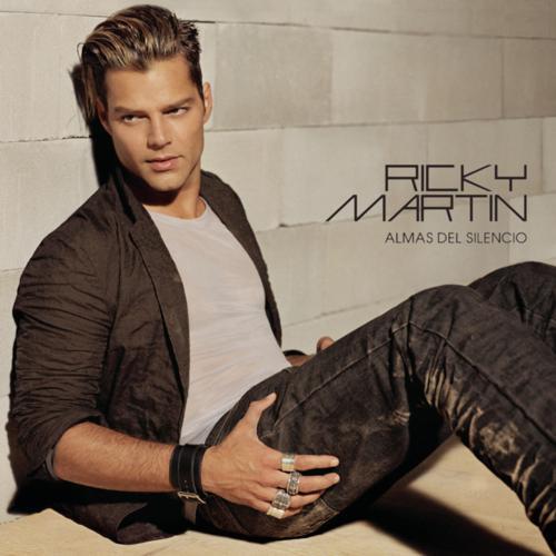 Ricky Martin - Besos De Fuego (Album Version) (2003) скачать и слушать онлайн