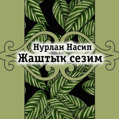 Нурлан Насип - Жаштык сезим (2018) скачать и слушать онлайн