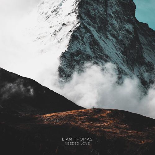 Liam Thomas - Needed Love (2019) скачать и слушать онлайн