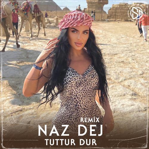 Naz Dej - Tuttur Dur (Remix) (2023) скачать и слушать онлайн