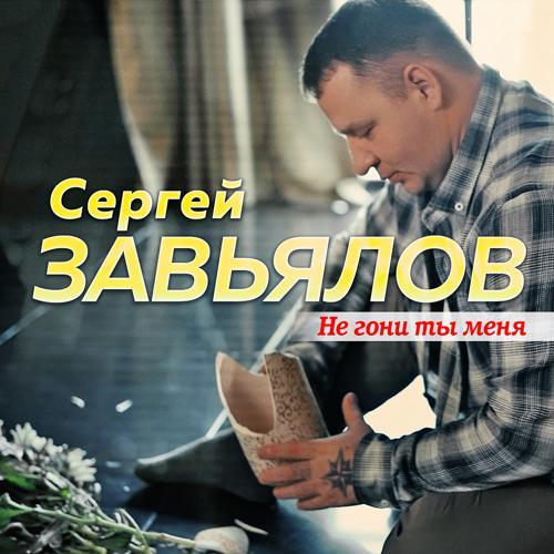 Сергей Завьялов - Не гони ты меня (2021) скачать и слушать онлайн