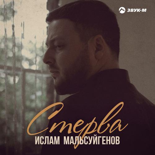 Ислам Мальсуйгенов - Стерва (2021) скачать и слушать онлайн