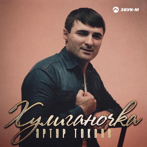 Артур Текеев - Хулиганочка (2021) скачать и слушать онлайн